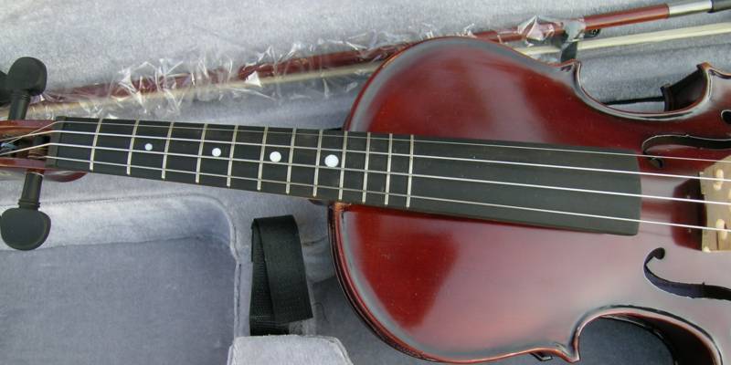 Student Acoustic Fretted Violin 12 Frets 4 MOP Inlays