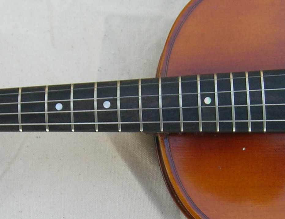 Salvatore Cadoni Fretted Acoustic Violin