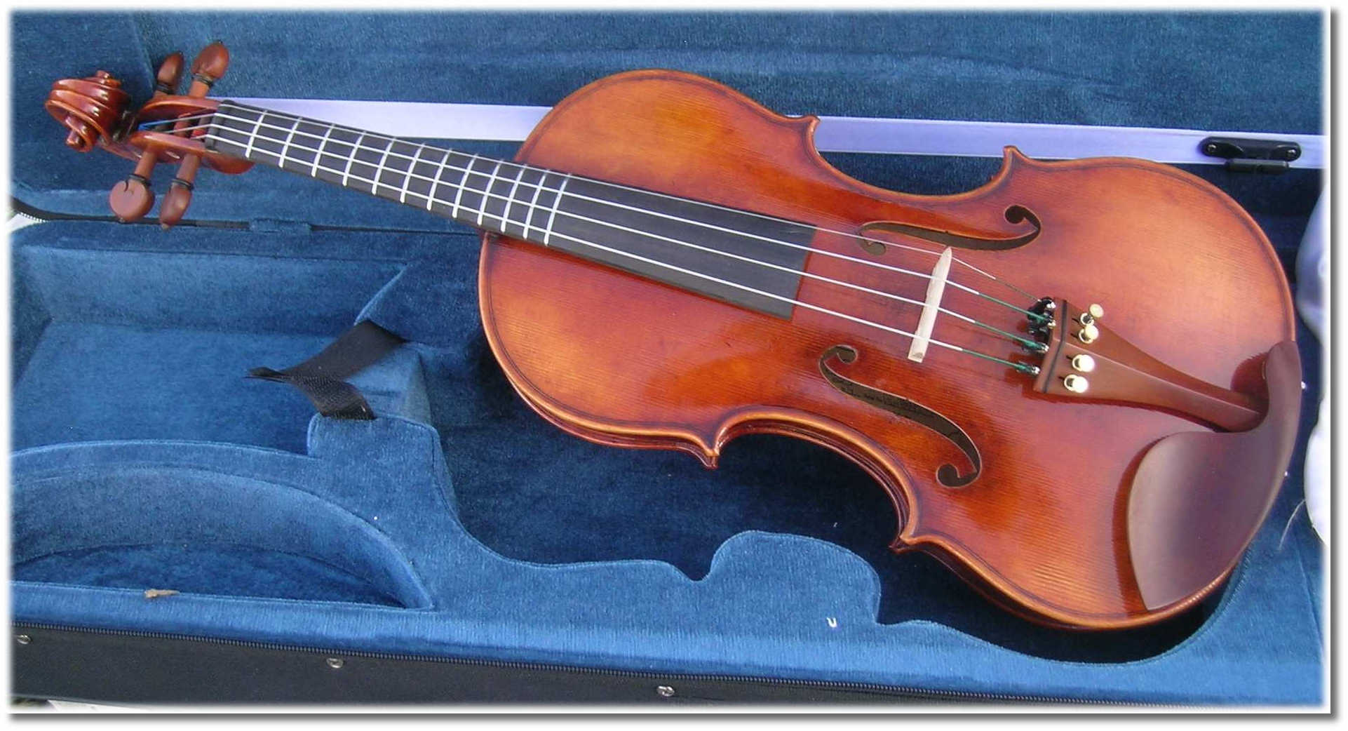 Fretted Violins