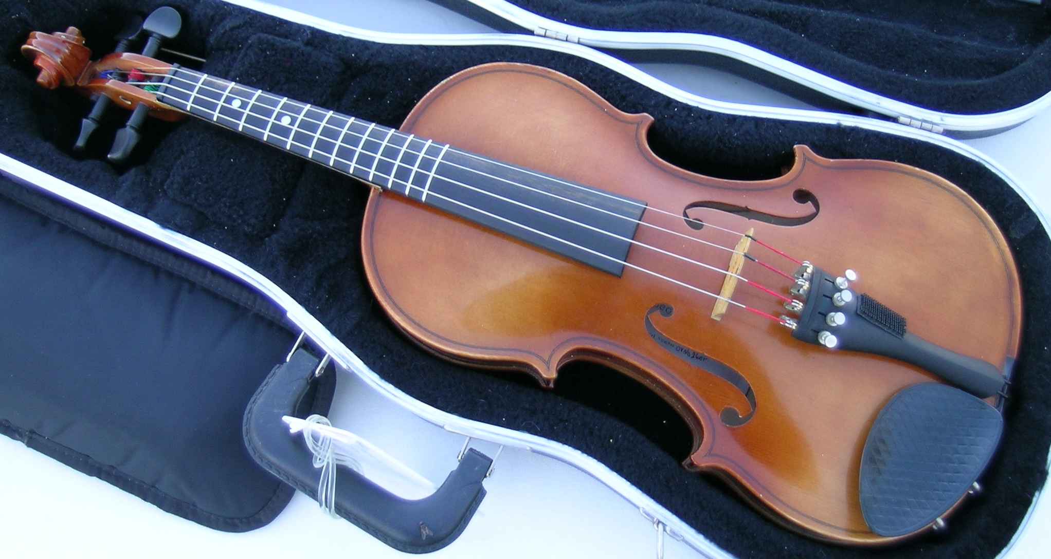 Schneider...Fretted Violin