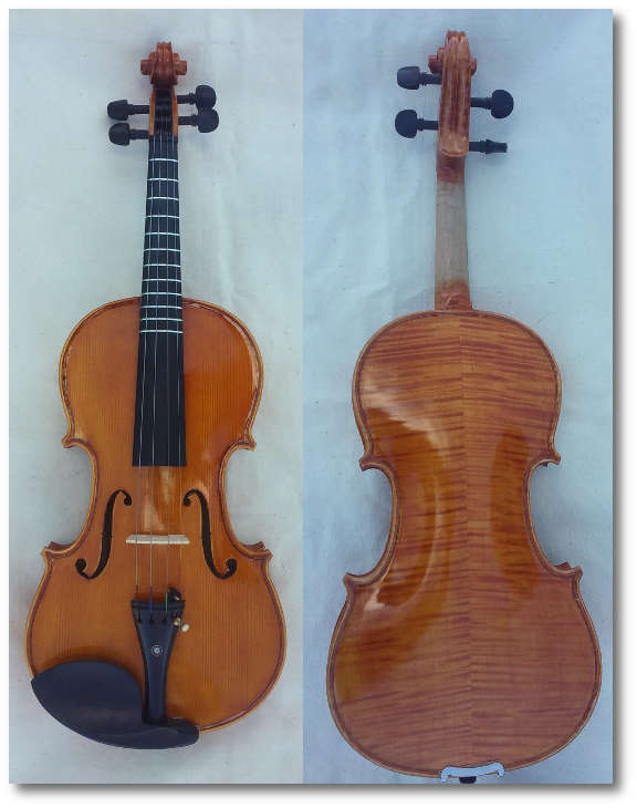 New Fretted Acoustic Violins