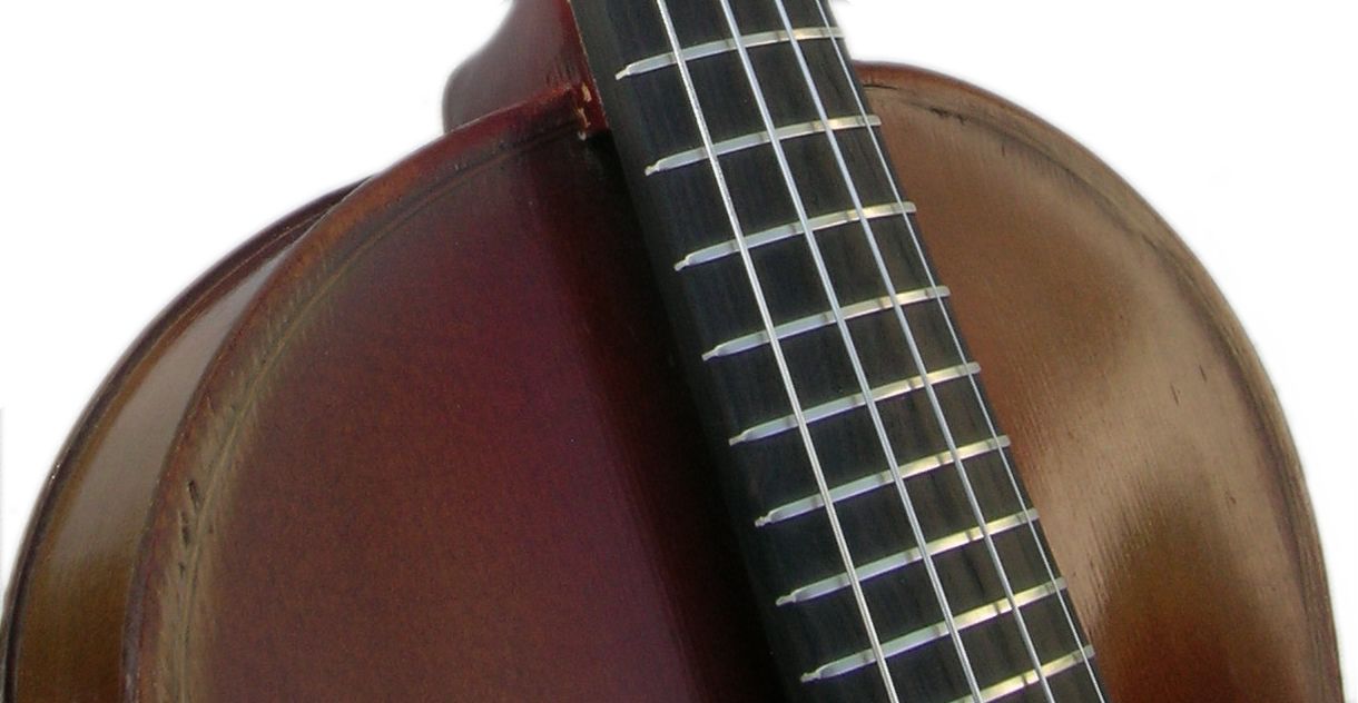 Vintage Fretted Violin